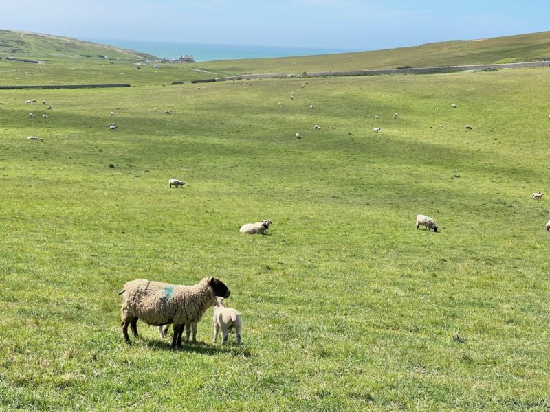South Downs Way. Image © PlanetSKI